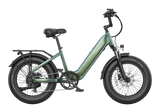 FAFREES F20 Rover Electric Bike 250W